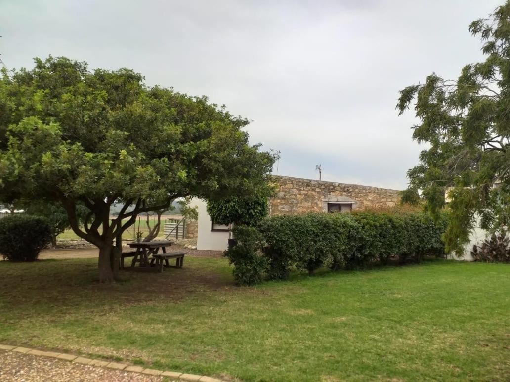 Die Buitekamer بريداسدورب المظهر الخارجي الصورة